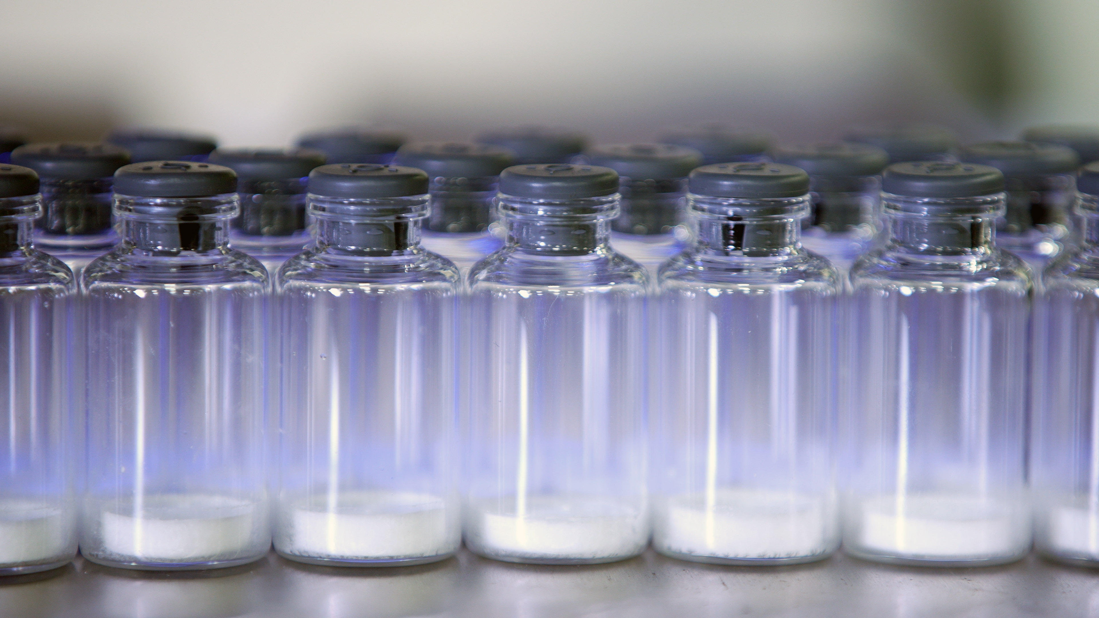 A row of vials with freeze dried product.
